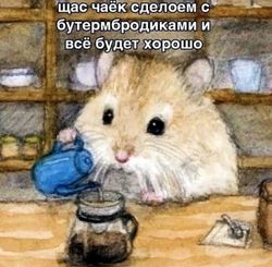 17408033257790.jpeg