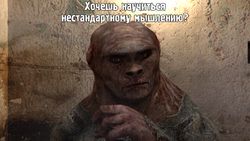 TENlR4YMw.jpeg
