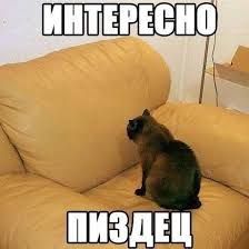 17741371668071747893.png