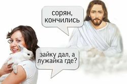 rabbitbc0ef34slidebig.jpg