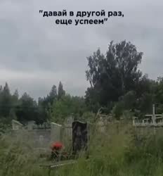 17736010422460661100.mp4