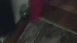 .webm