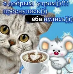 17585070364761.jpg