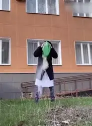 17622165428292.mp4