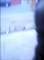 17222197545020.webm