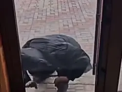 17558664469390.mp4