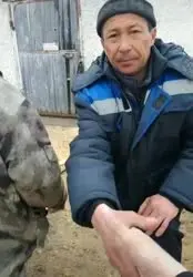 17490746096650.mp4