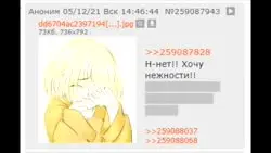 17639598821930.mp4