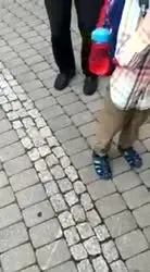 17764170712140535258.mp4