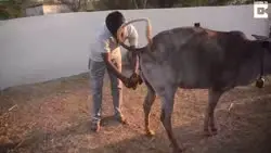 17361568323120.webm