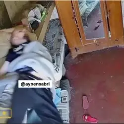 17282312253563.mp4