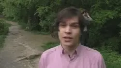 17328042228801.mp4
