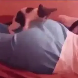 17386842069630.mp4