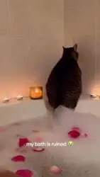17638396291820.mp4