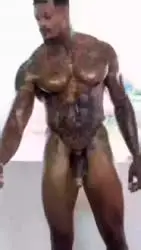 17331418331690.webm