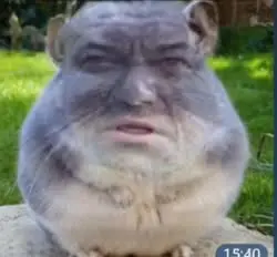 17292018613010.mp4