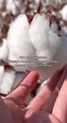 VID20250518092538218.mp4