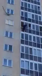 17763258664610338189.webm