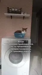 RDT20251202131949.mp4