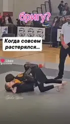 17562256964630.mp4