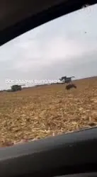Курщина.mp4