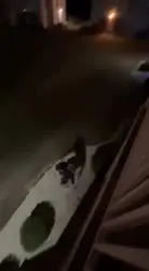 17354106632280.mp4