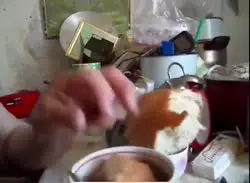 17764430639630099941.mp4