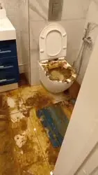 17566477583010.mp4