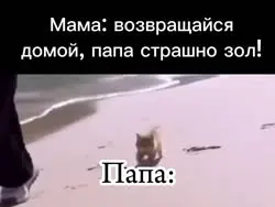 VID20250626153733399.mp4