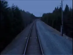 17440426277010.webm