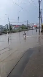 17352092749580.mp4
