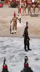 17465782886920.mp4