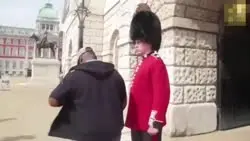 17354103463711.mp4