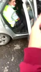 17565897902541.mp4