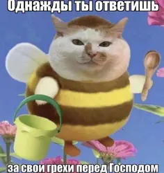 17285457870170.jpg
