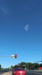 17530851673840.webm
