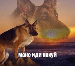 1753891607634.png