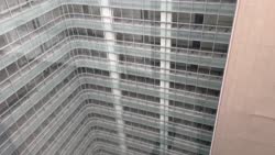 IMG_1421.mov