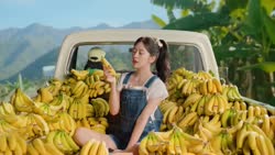 17731284500390084750.webm