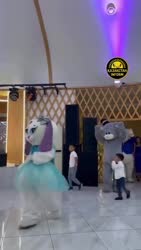 аниматор.mp4