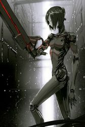 -snk (1).jpg