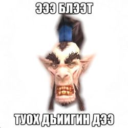 17754206584450656407.webp