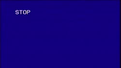 input.mp4
