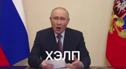 -7354361740204179307.mp4