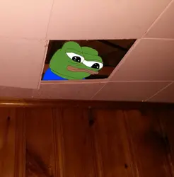 1741772185093i.jpg