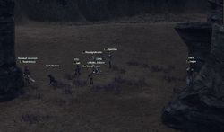 dv0304.png