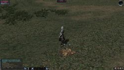 Shot00008.jpg