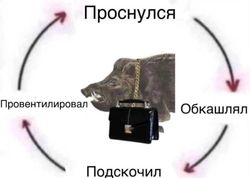 17716845969890186193.jpg