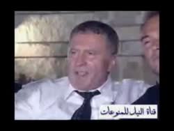 17664196075890.webm